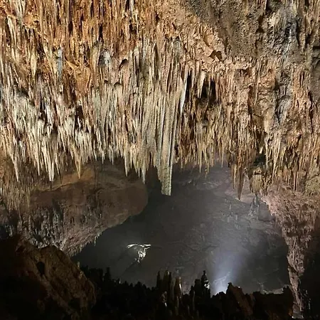 La Cuadra *